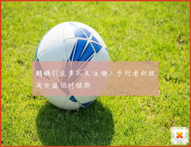 鹈鹕引发多队关注湖人步行者积极询价赫伯特琼斯