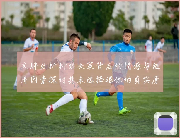 文胖分析科尔决策背后的情感与经济因素探讨其未选择退休的真实原因