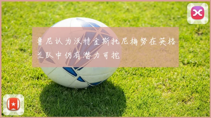 鲁尼认为沃特金斯托尼梅努在英格兰队中仍有潜力可挖