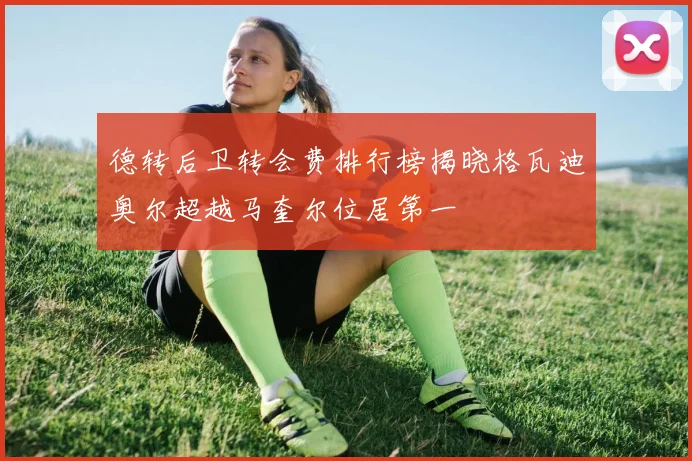 德转后卫转会费排行榜揭晓格瓦迪奥尔超越马奎尔位居第一