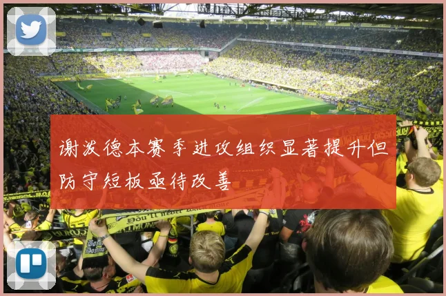 谢泼德本赛季进攻组织显著提升但防守短板亟待改善